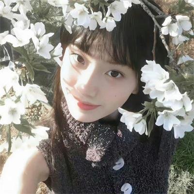 了不起的小家伙们